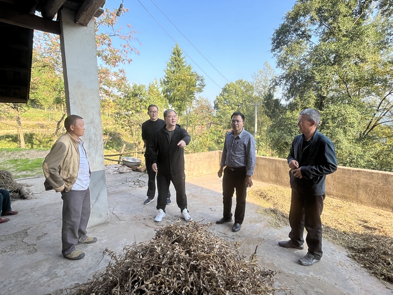 持续巩固脱贫攻坚成果全力推动乡村振兴发展