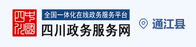 四川政务服务网图片