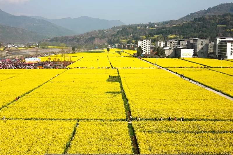 通江县新场镇图片