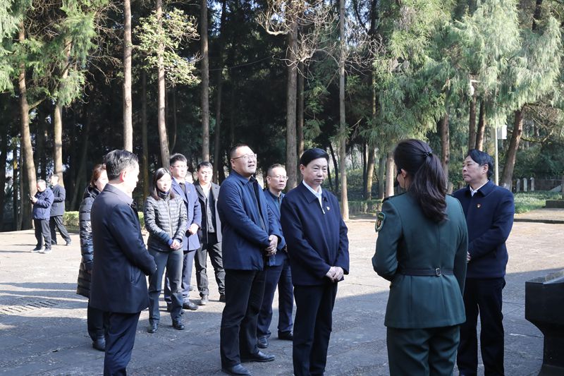 通江县王良双图片