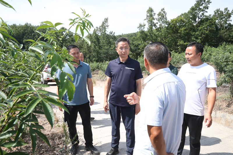 李玉甫到洪口至诚调研督导巩固拓展脱贫攻坚成果同乡村振兴有效衔接等