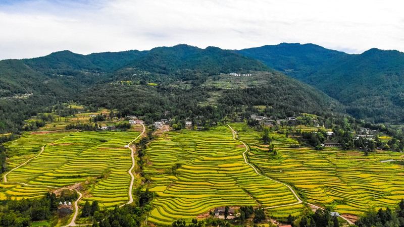 四川通江县首富图片