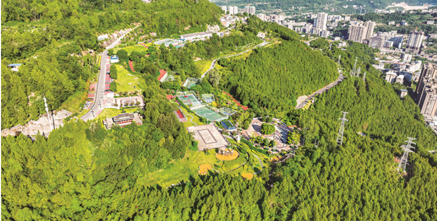 通江县壁山森林公园